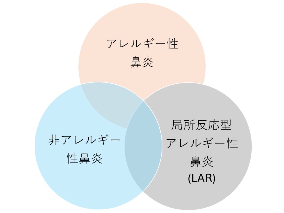 鼻炎（感染性を除く）の分類